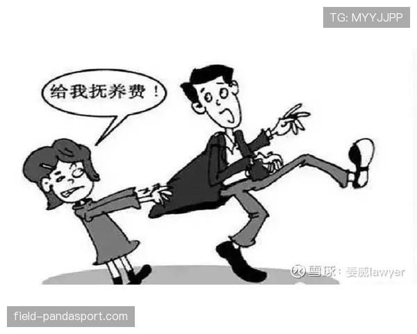 官方规则详解：裁判协商判罚流程是如何进行的？
