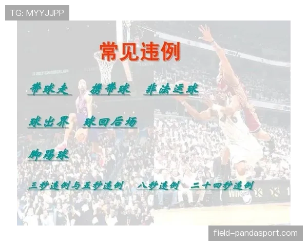 篮球规则解析：“同时出界判定”的详细规定与执行标准