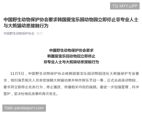 非接触犯规判罚为何常引争议？规则如何界定边界线？