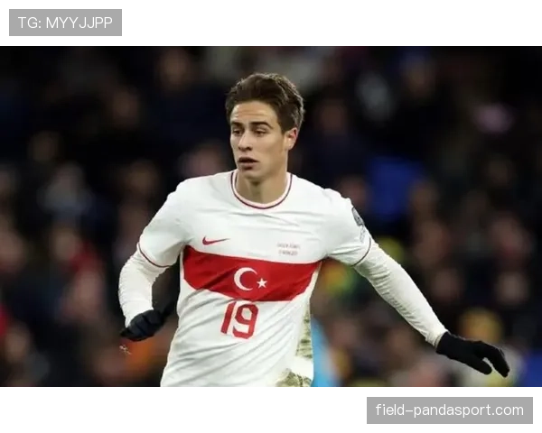 土耳其队能否时隔多年重返世界杯舞台