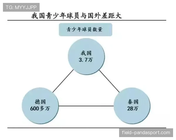 阿根廷世界杯后备力量储备情况如何 阿根廷世界杯后备力量储备情况如何
